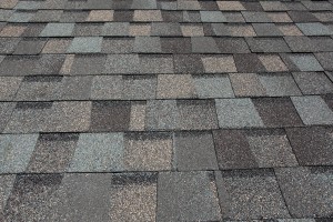 A newly installed composition asphalt shingle roof